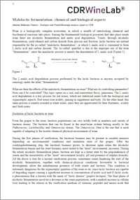 ArticleData image