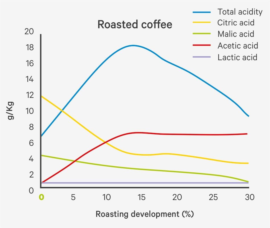 Development of organic acids in the bean after various roasting times